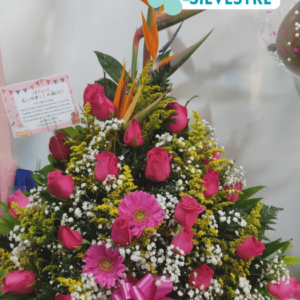 Arreglo con 18 Rosas rosadas y aves del paraíso