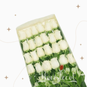 caja de 24 rosas blancas