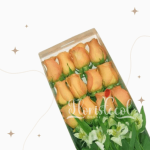 Caja con 12 Rosas Salmón