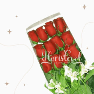 Caja con 12 Rosas Rojas