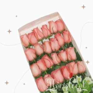 Caja con 24 Rosas Rosadas